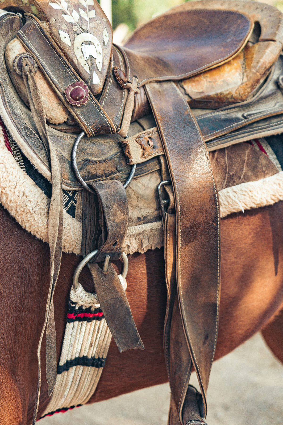 Cinches