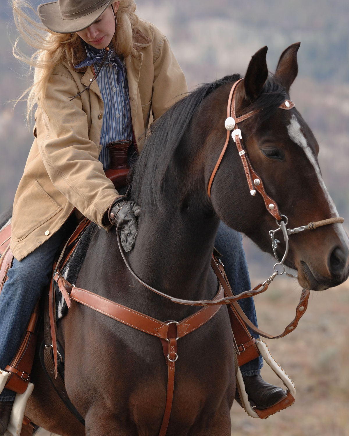 Reins and Collars