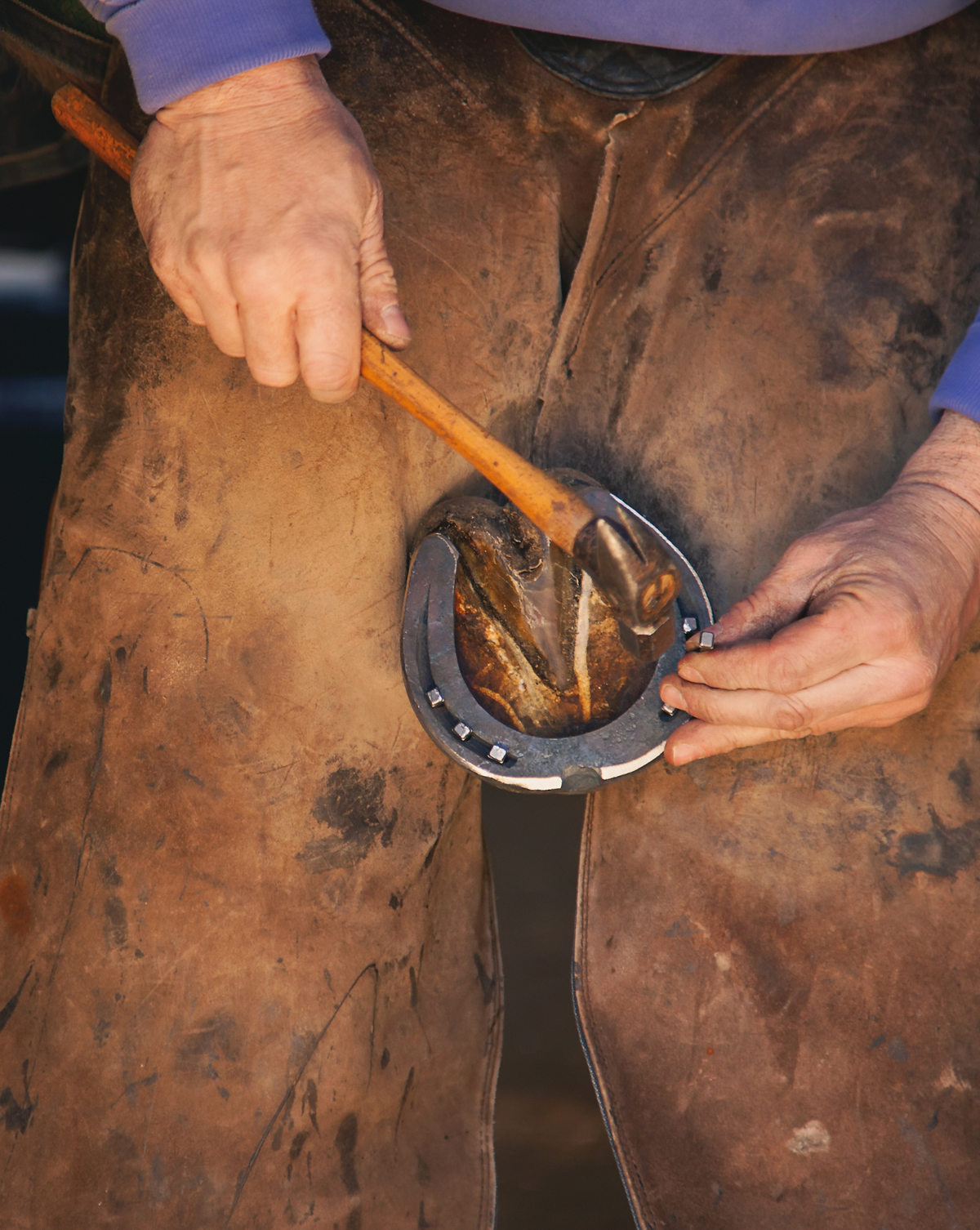 Farrier Tools & Equipment